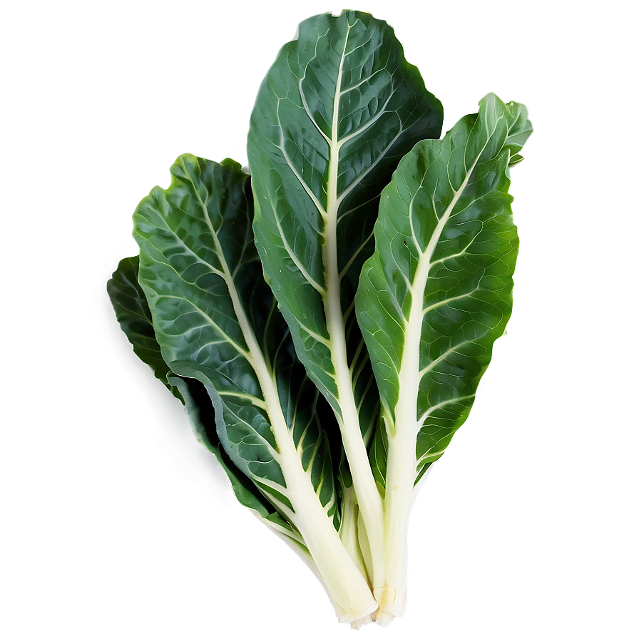 Organic Collard Greens Png 06252024