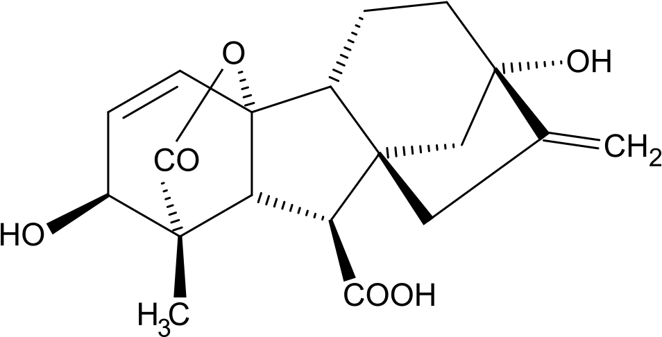 Organic Compound Structure