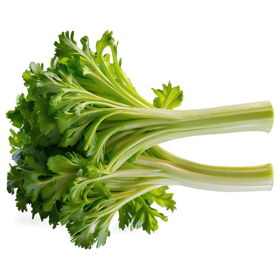 Organic Farm Celery Png Brg34