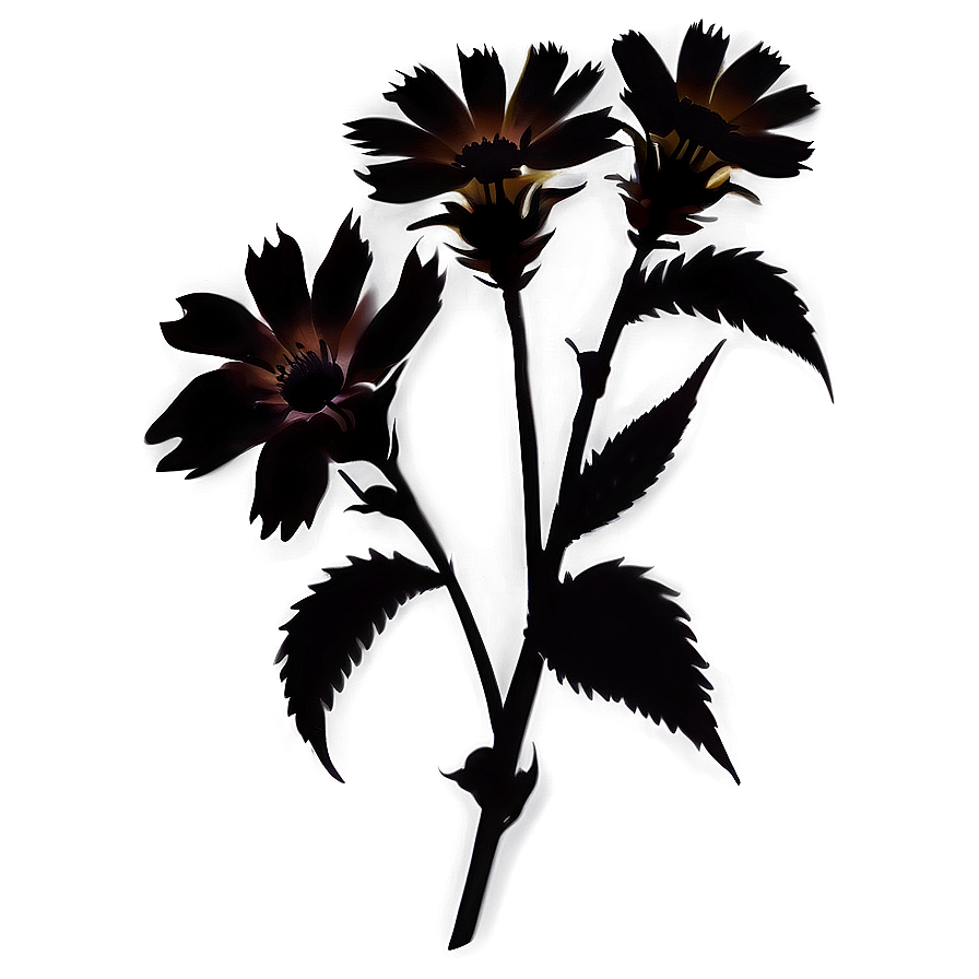 Organic Flower Silhouette Png 06262024