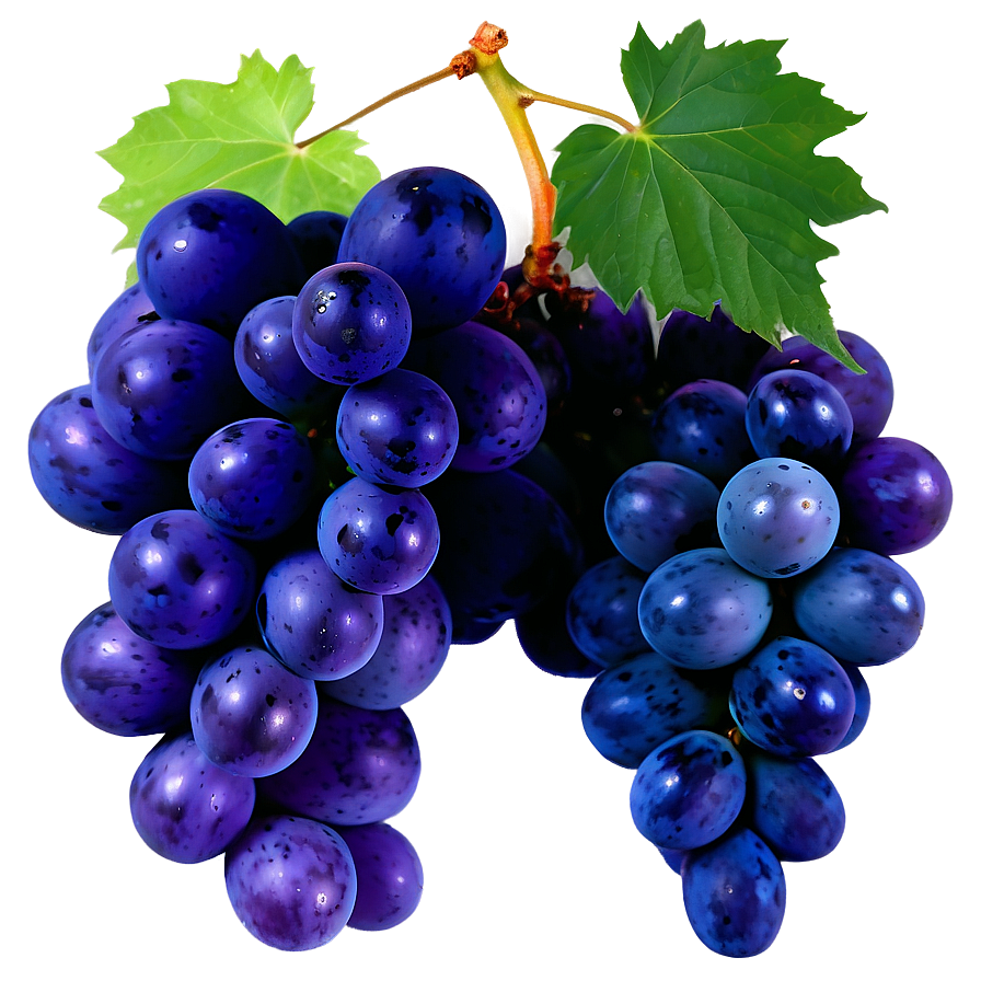 Organic Grape Png Elp