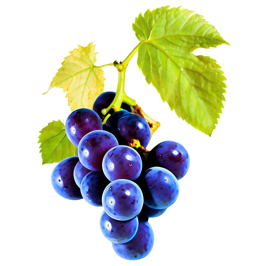 Organic Grape Png Vhn1