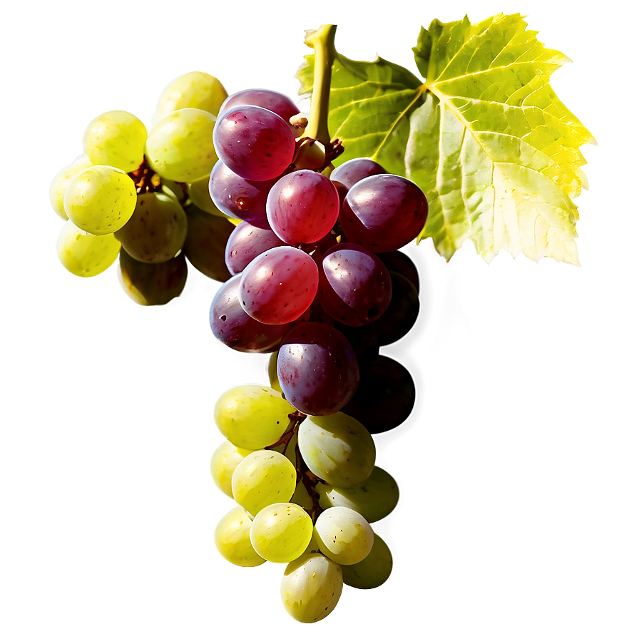 Organic Grapes Png Eul