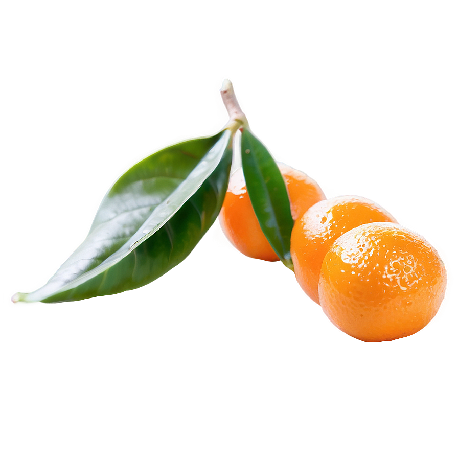 Organic Kumquat Png Dvv38