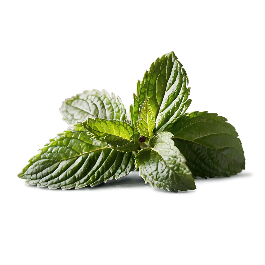 Organic Peppermint Leaves Png Bkn37