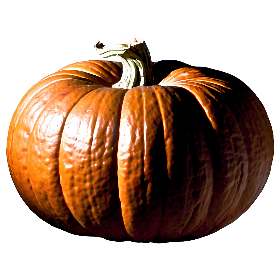 Organic Pumpkin Outline Shape Png 21