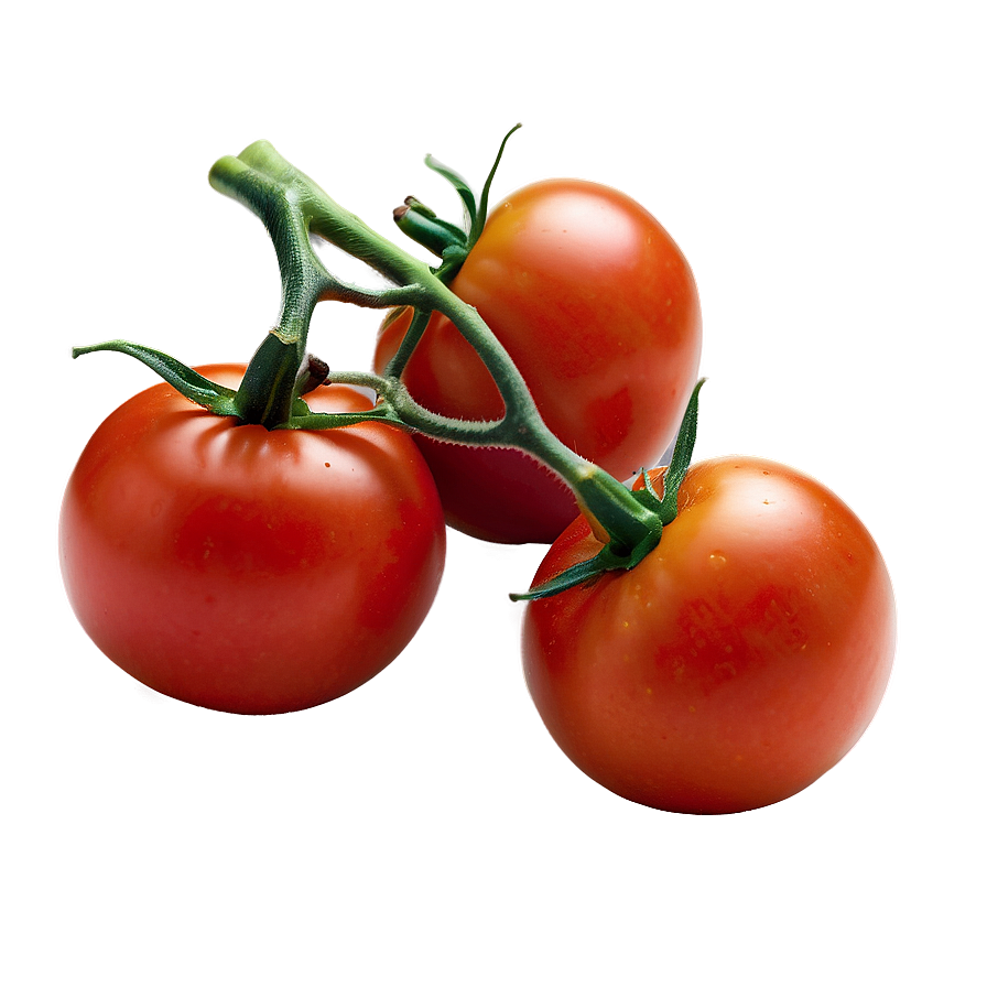 Organic Tomato Png 91