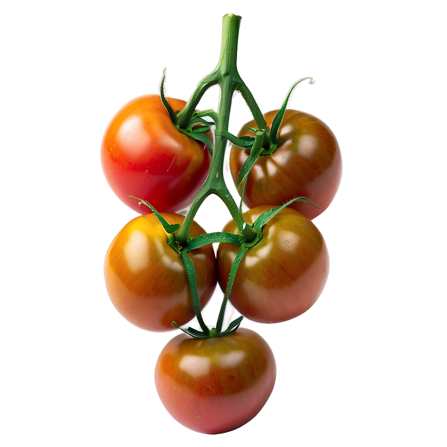 Organic Tomatoes Cluster Png 06212024