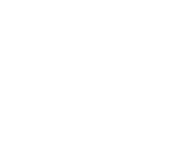 Origami Crane Silhouette