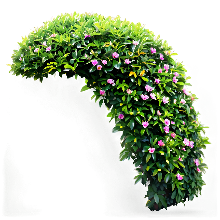 Ornamental Bush Png Mje