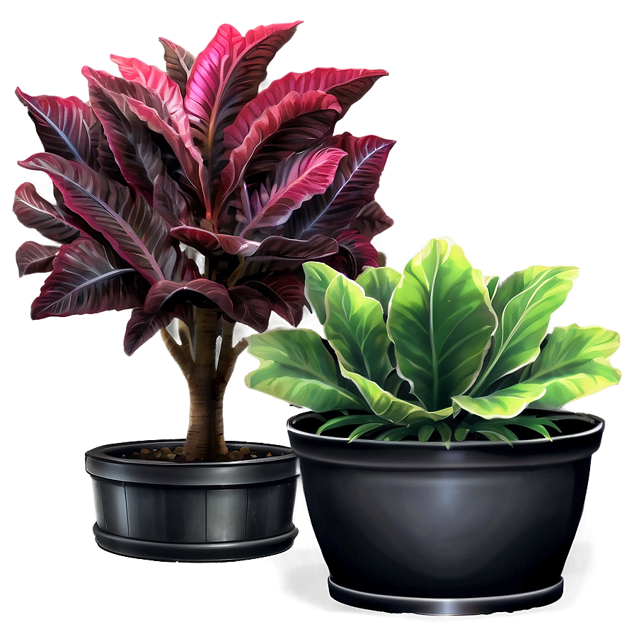 Ornamental Plant Png Ypo78