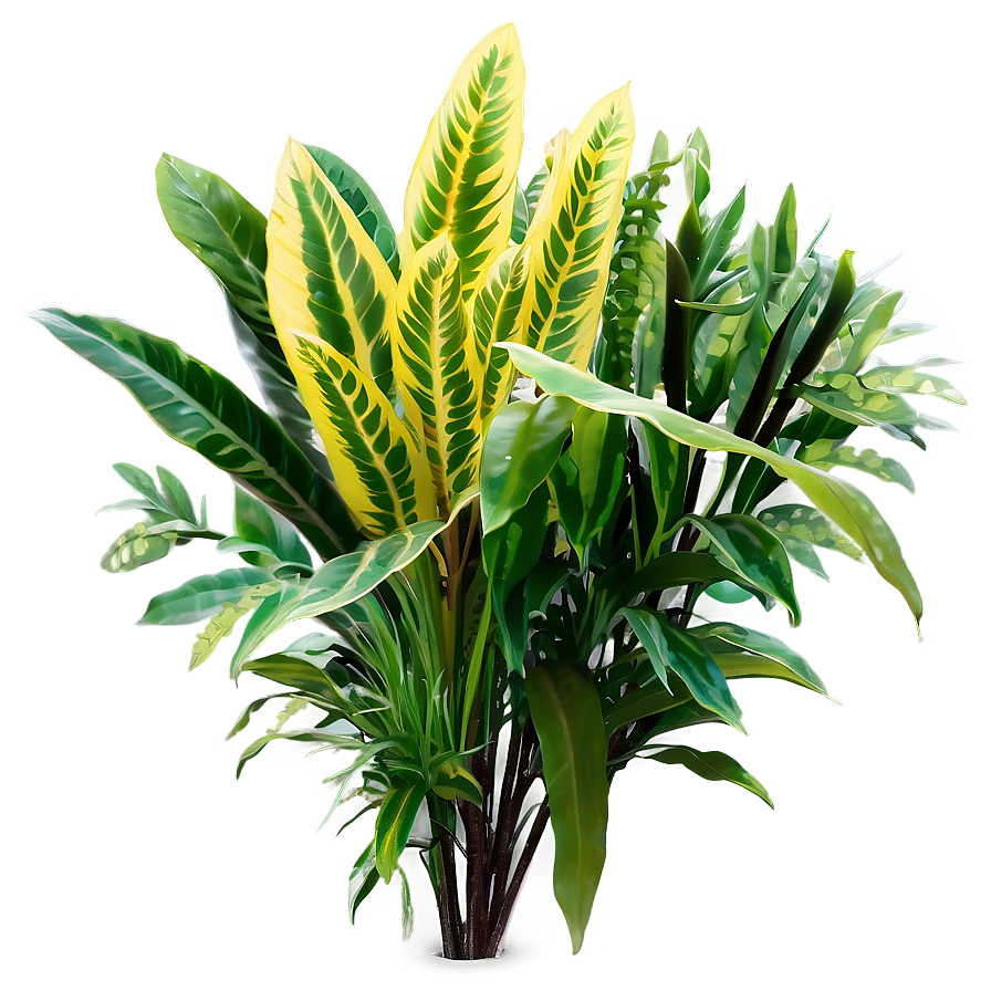 Ornamental Plants Png Mwu