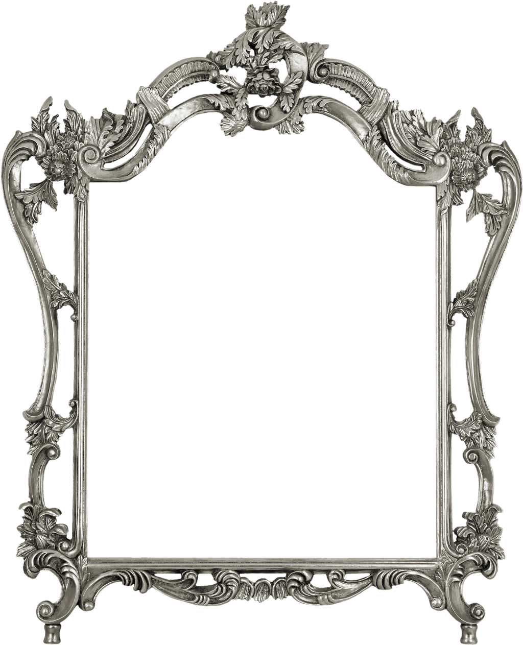 Ornate Silver Frame Design