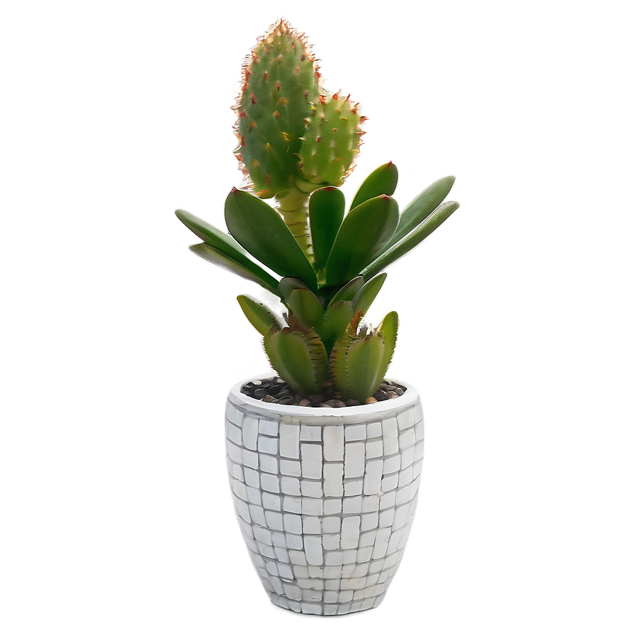 Outdoor Succulent Arrangements Png Ggi