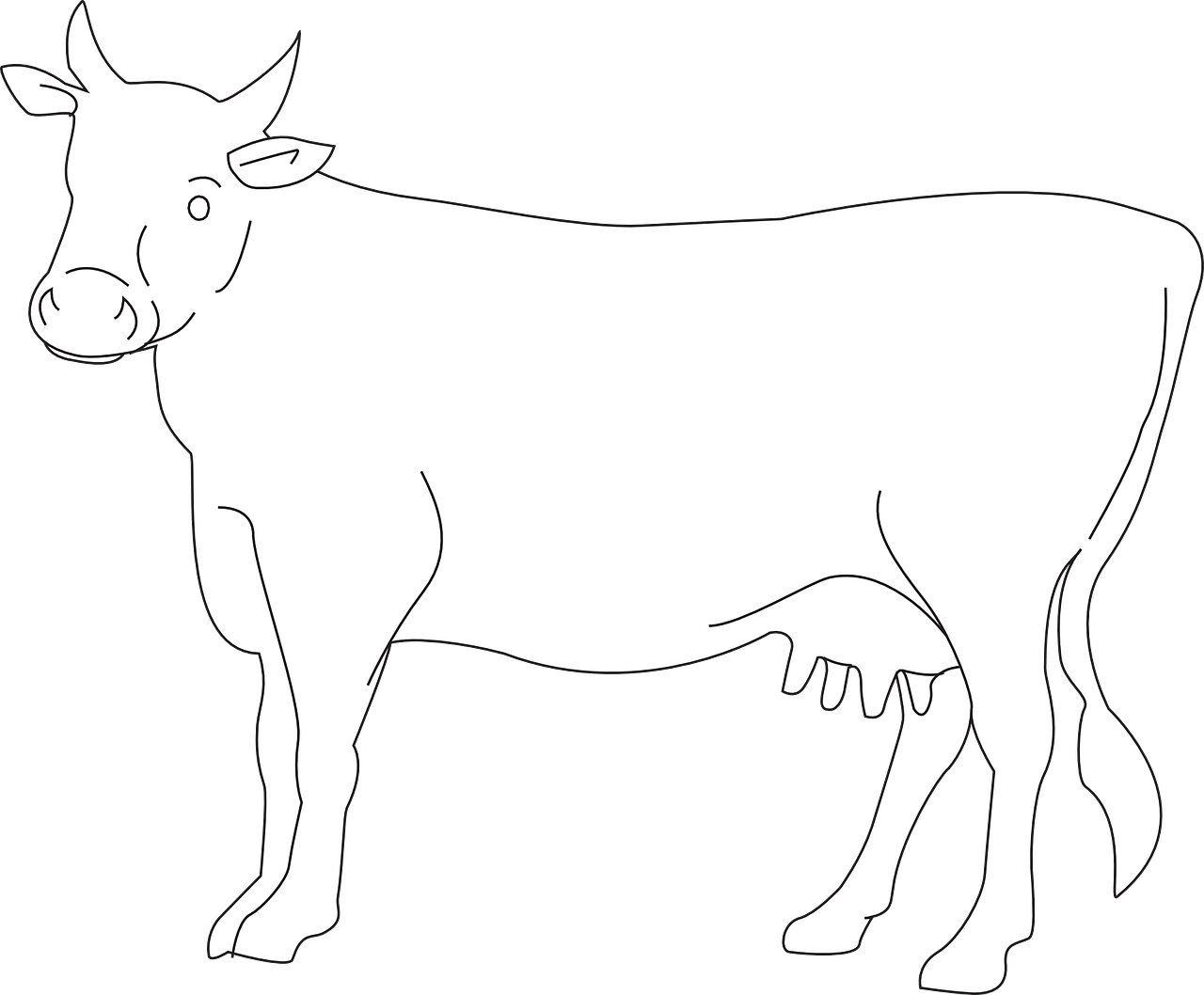 Outlined Dairy Cow Illustration