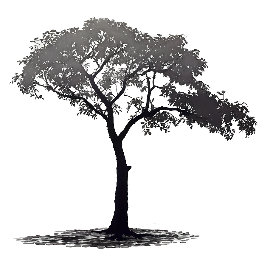 Overcast Tree Shadow Png Agx