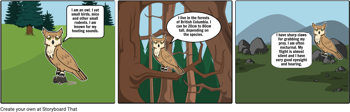 Owl Educational Comic Strip