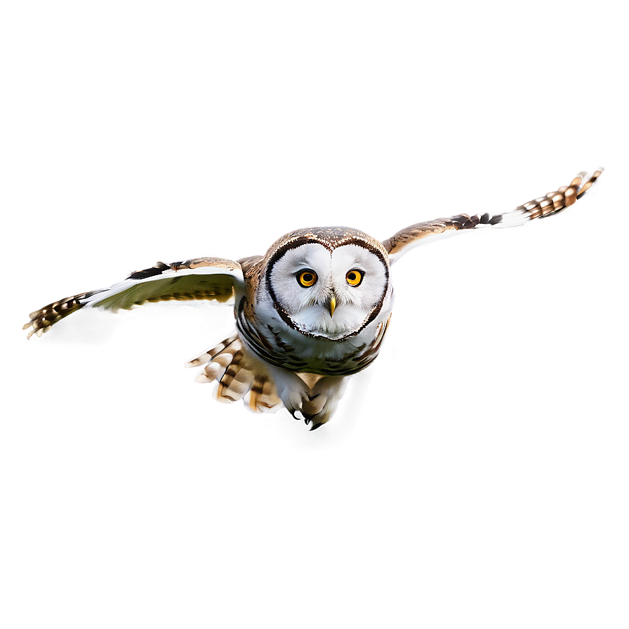 Owl In Flight Png Egw36