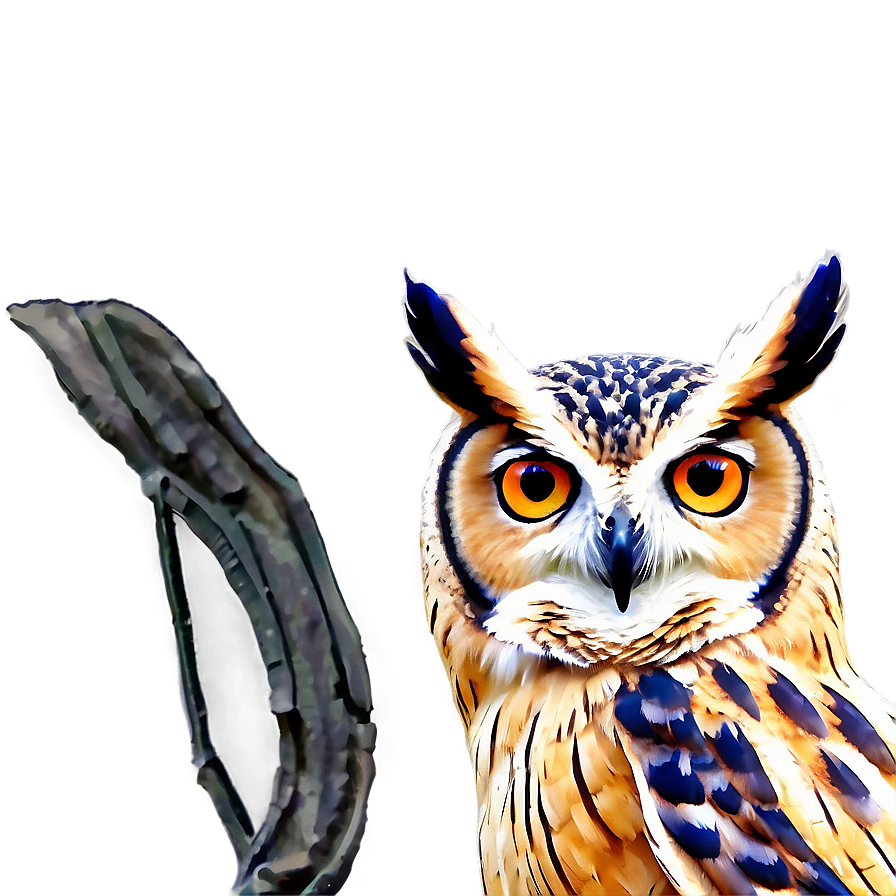 Owl Outline Png Jhs17