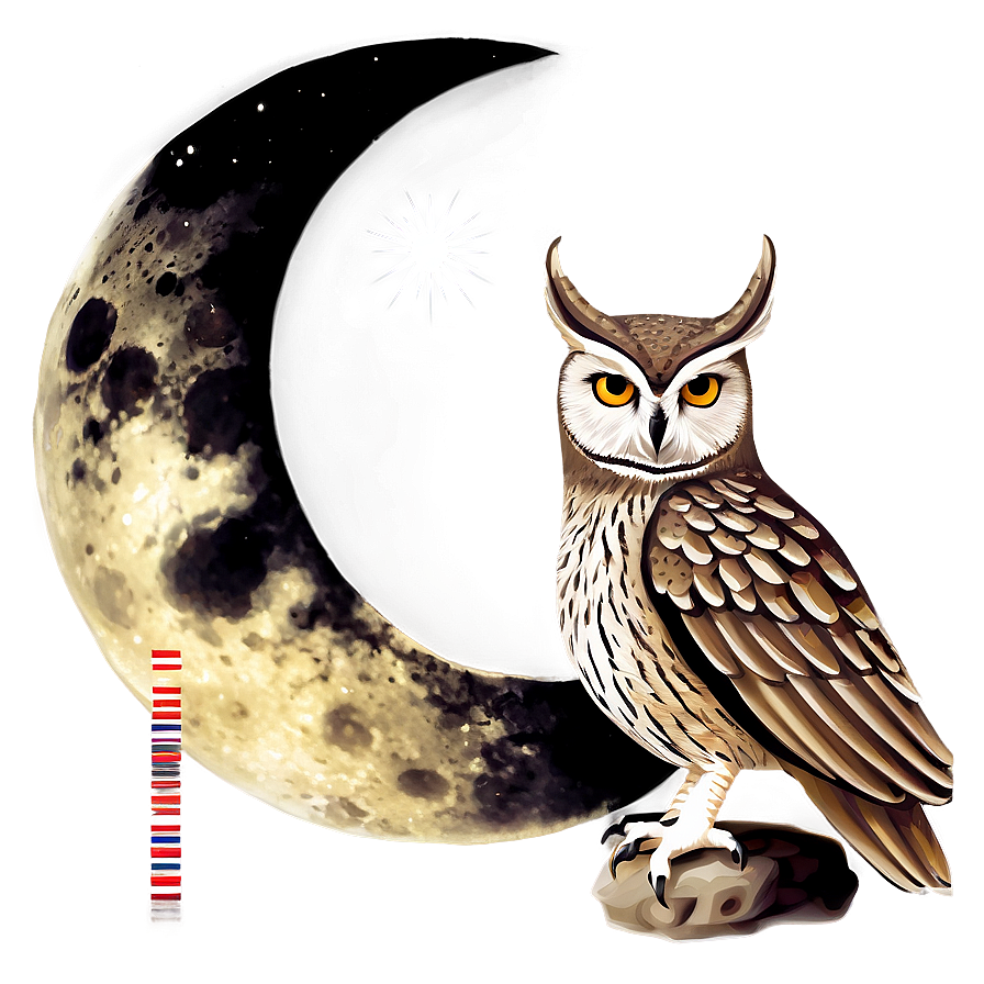 Owl With Moon Png 05062024