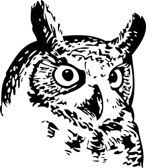 Owlinthe Dark Artwork
