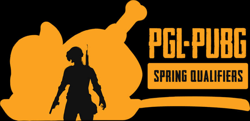 P G L P U B G Spring Qualifiers Logo