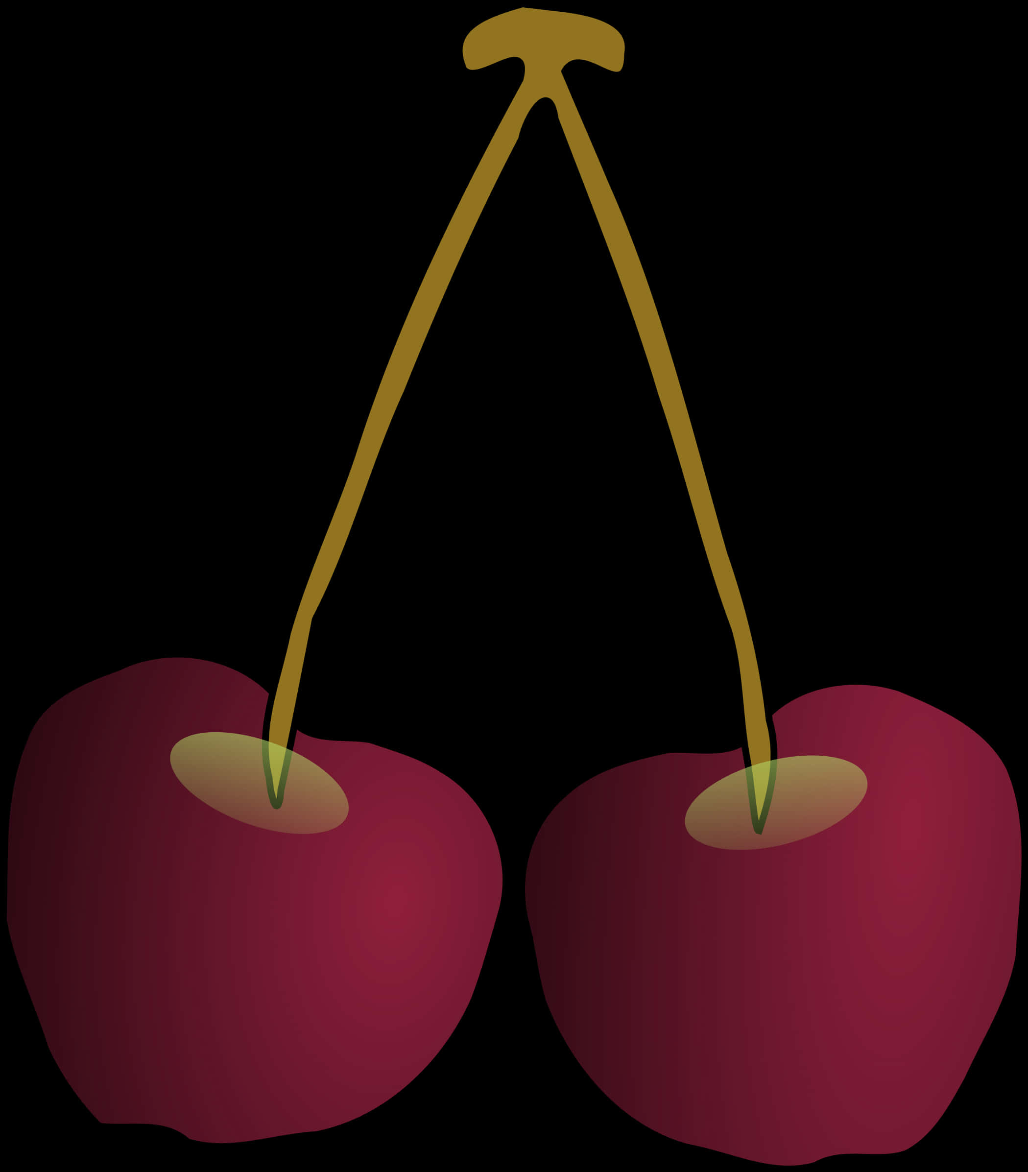 Pairof Cherries Illustration