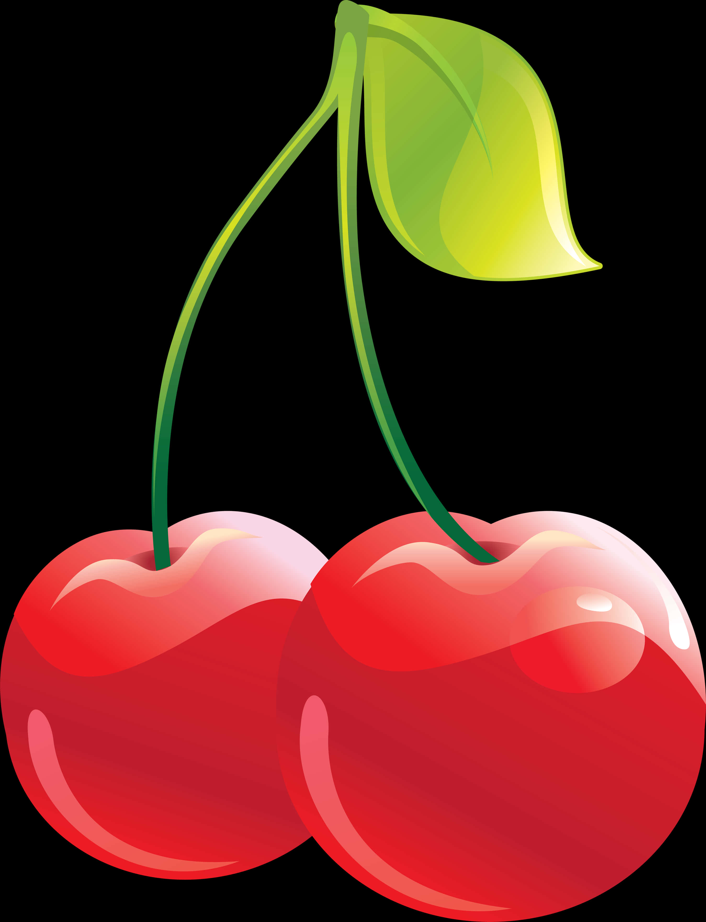 Pairof Cherries Vector Illustration