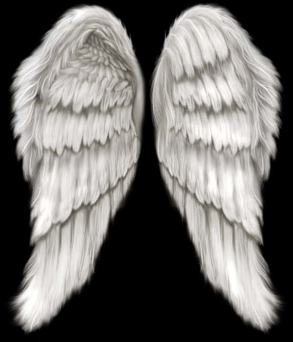 Pairof White Angel Wings