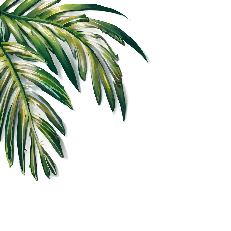 Palm Leaf Border Png Gem