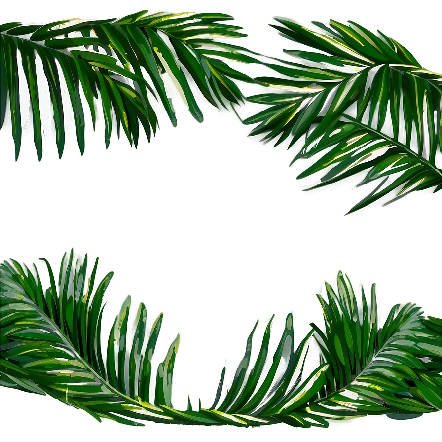 Palm Leaf Border Png Jti