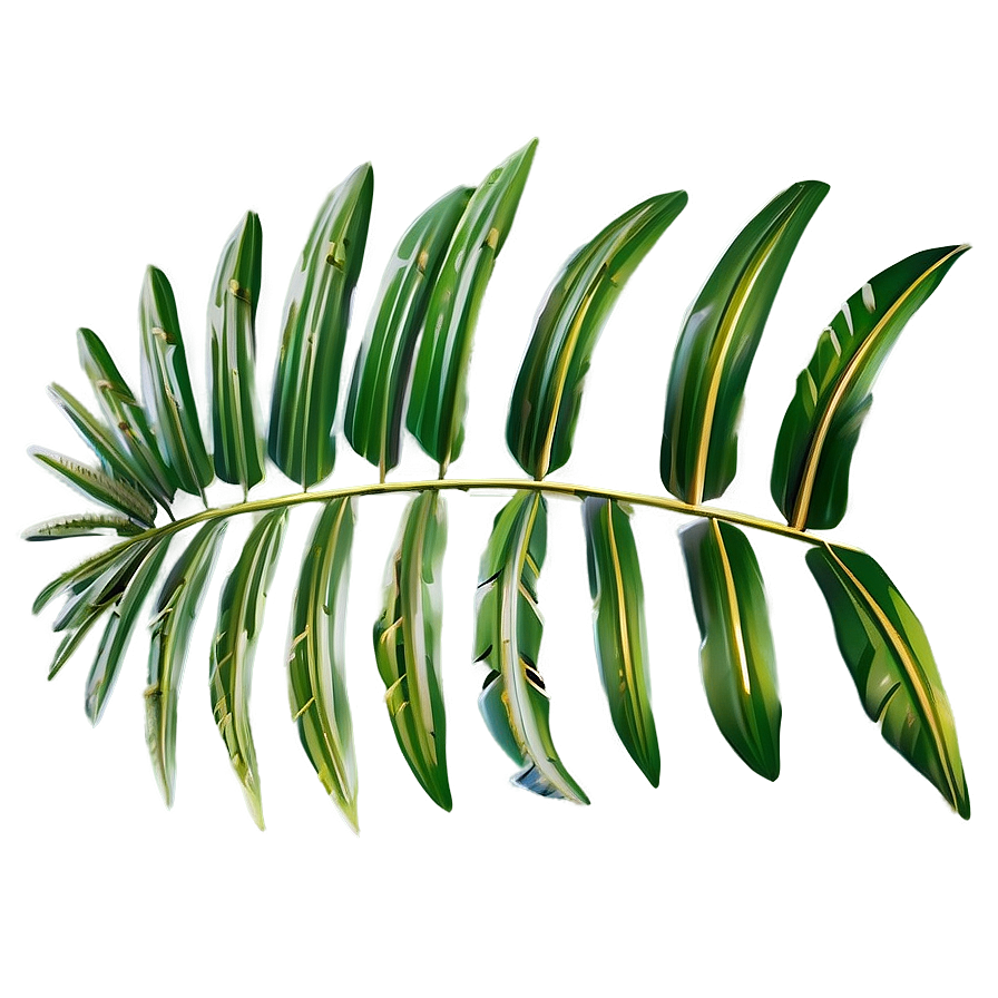 Palm Leaves Arrangement Png Nyb47