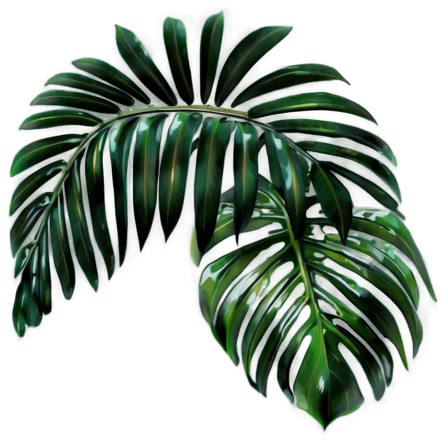 Palm Leaves Background Png 4