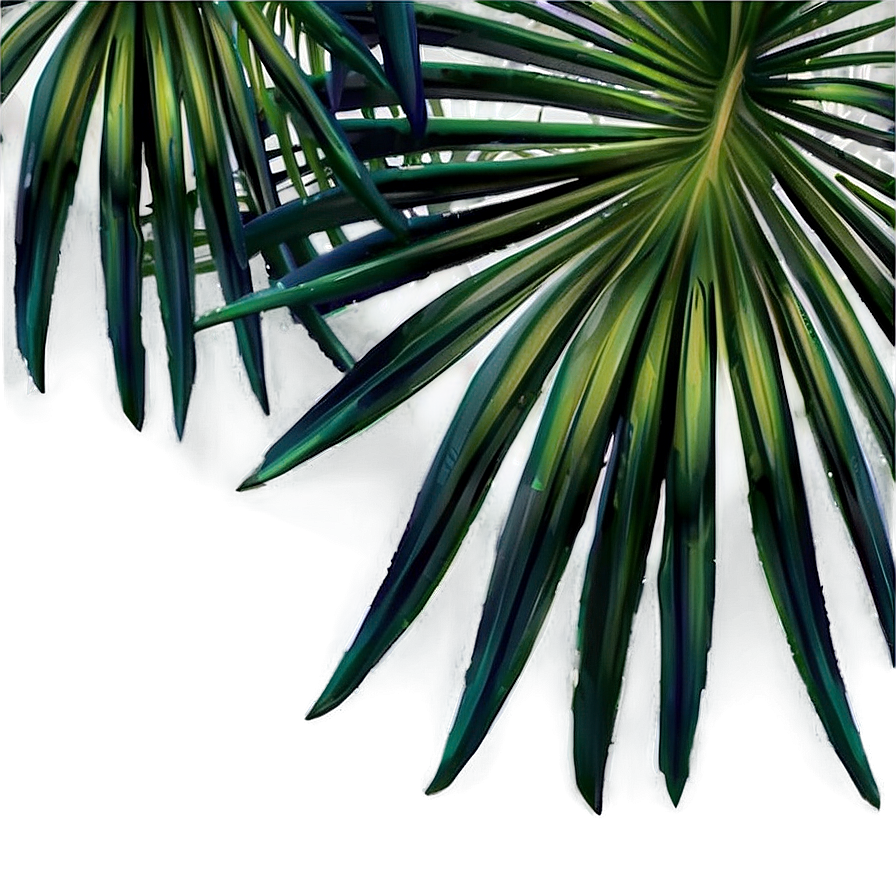 Palm Leaves Background Png Jhs