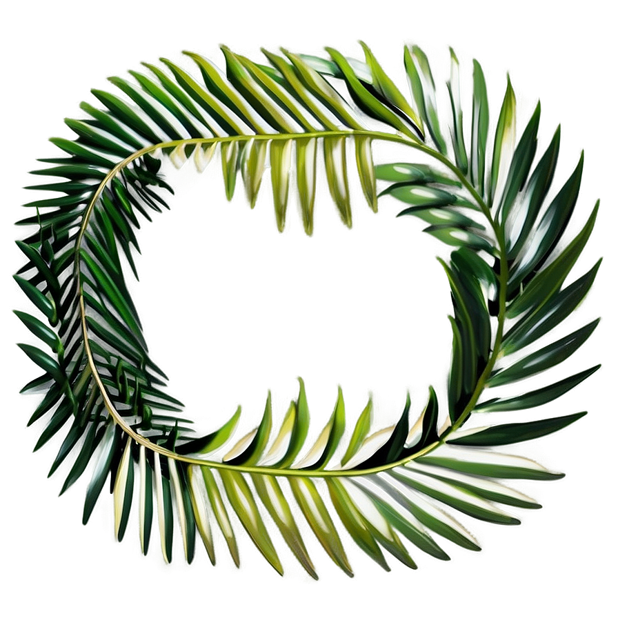 Palm Leaves Border Png 94