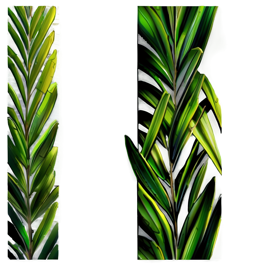 Palm Leaves Border Png Tcv12