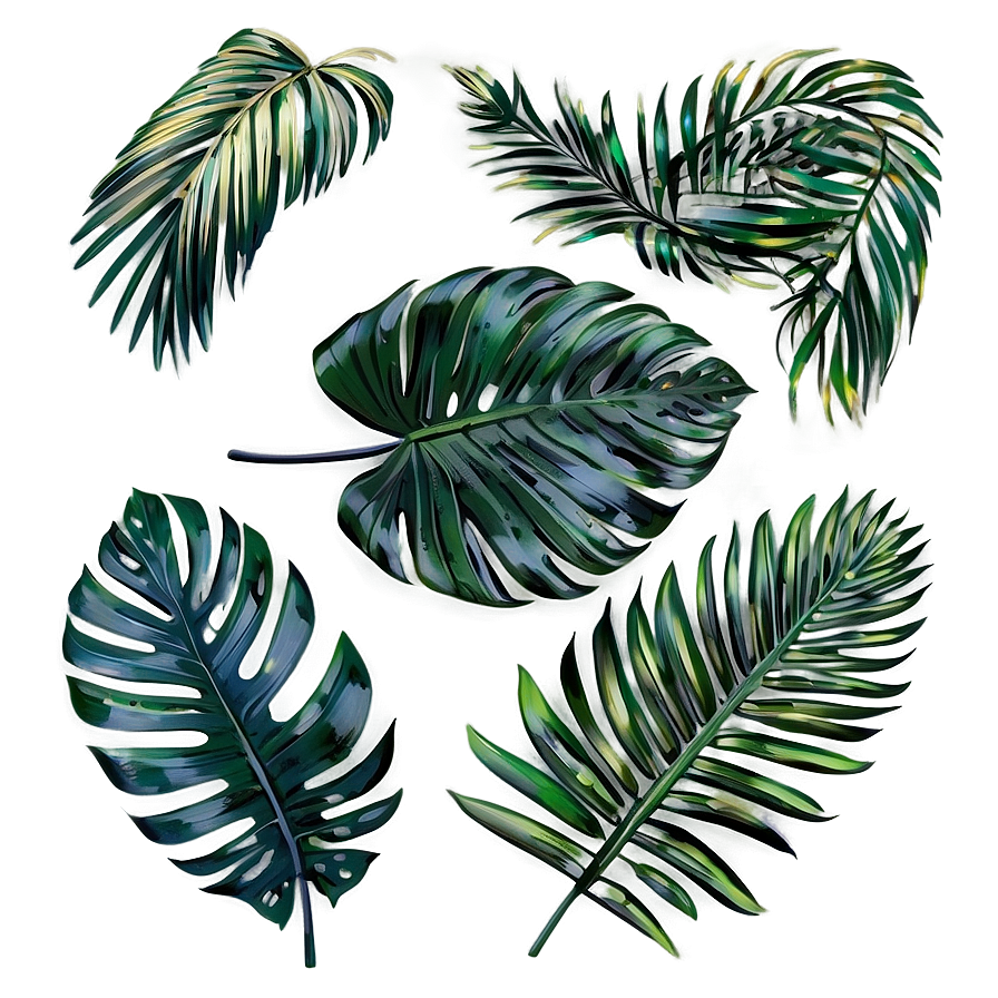 Palm Leaves Bundle Png Ejk