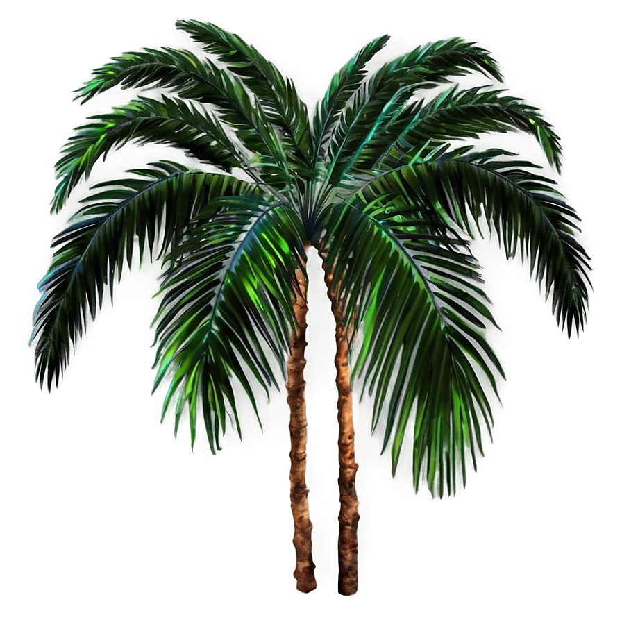 Palm Leaves Collection Png 57