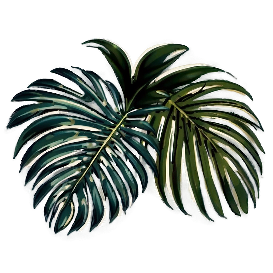 Palm Leaves Composition Png 05252024