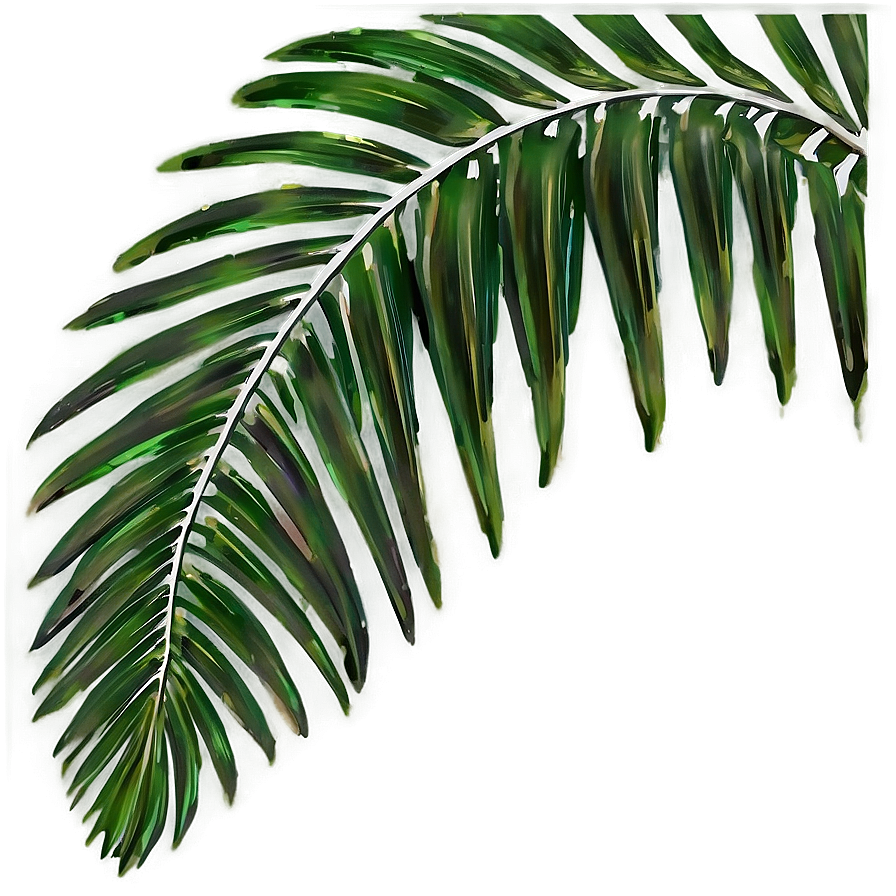 Palm Leaves Composition Png Inh