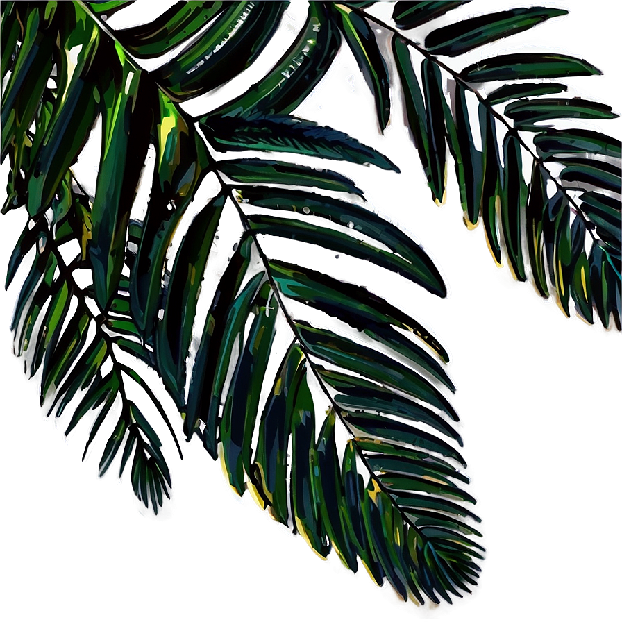 Palm Leaves Composition Png Rhm