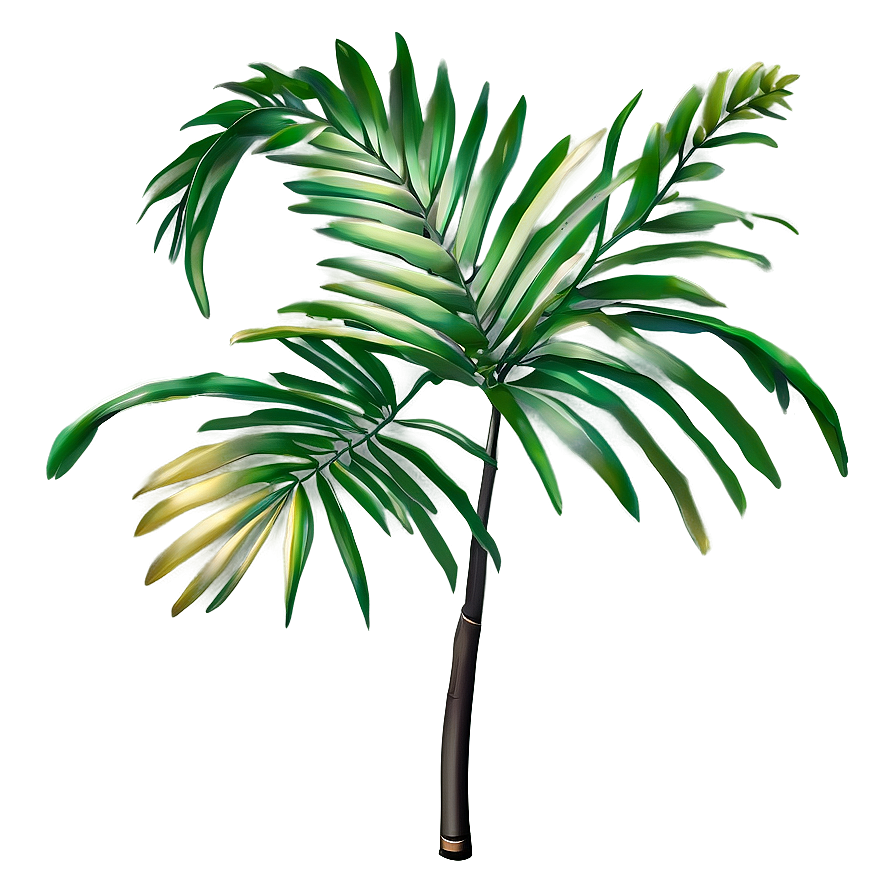 Palm Leaves Drawing Png Pvd64