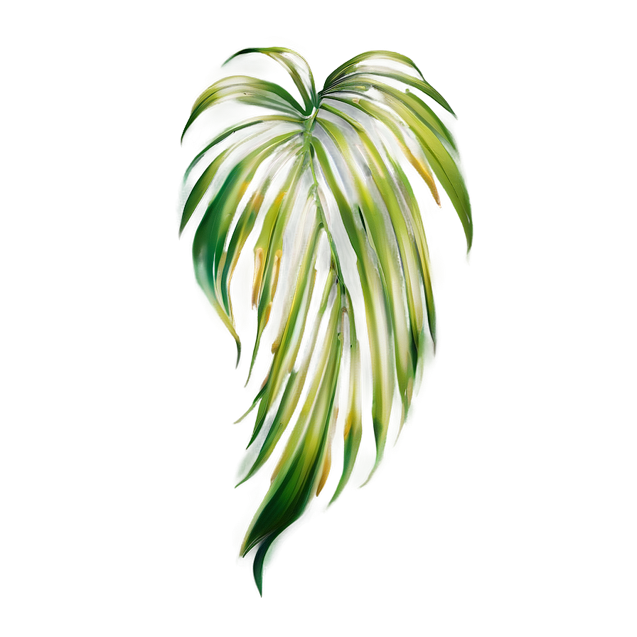 Palm Leaves Drawing Png Tsv