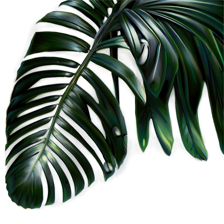 Palm Leaves Icon Png 05252024