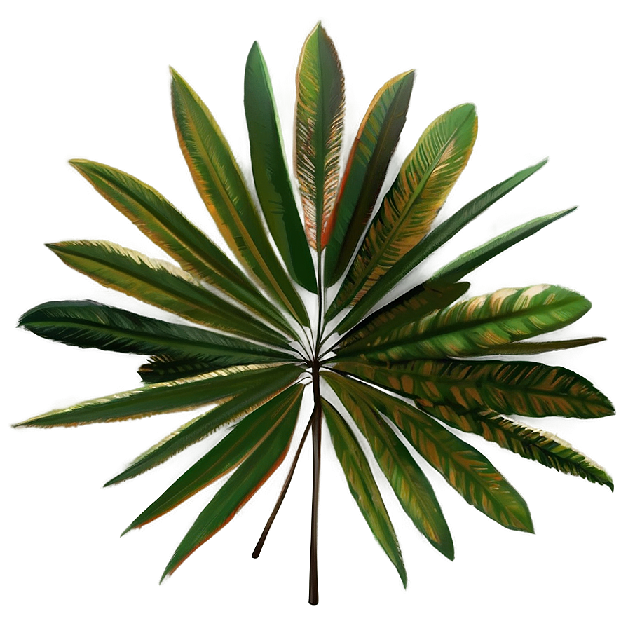 Palm Leaves Illustration Png Sbt44