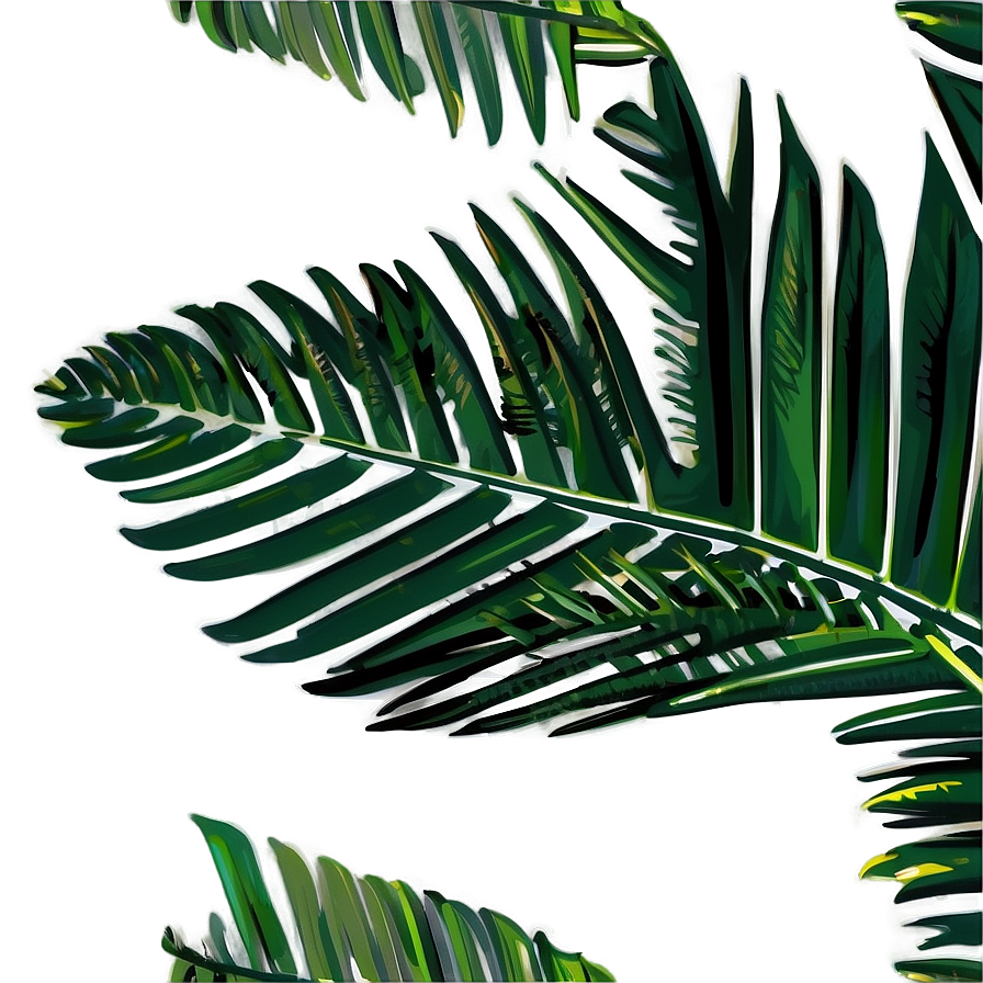 Palm Leaves Outline Png Afo