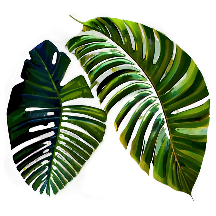 Palm Leaves Png Fwj82