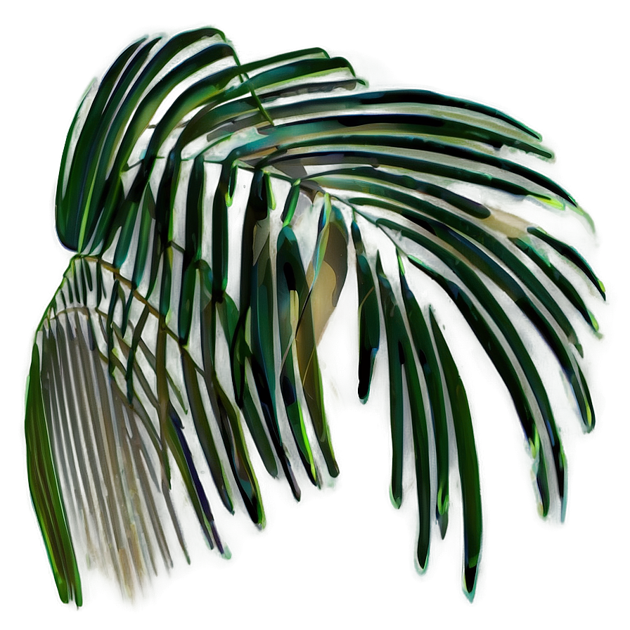 Palm Leaves Shadow Png 97