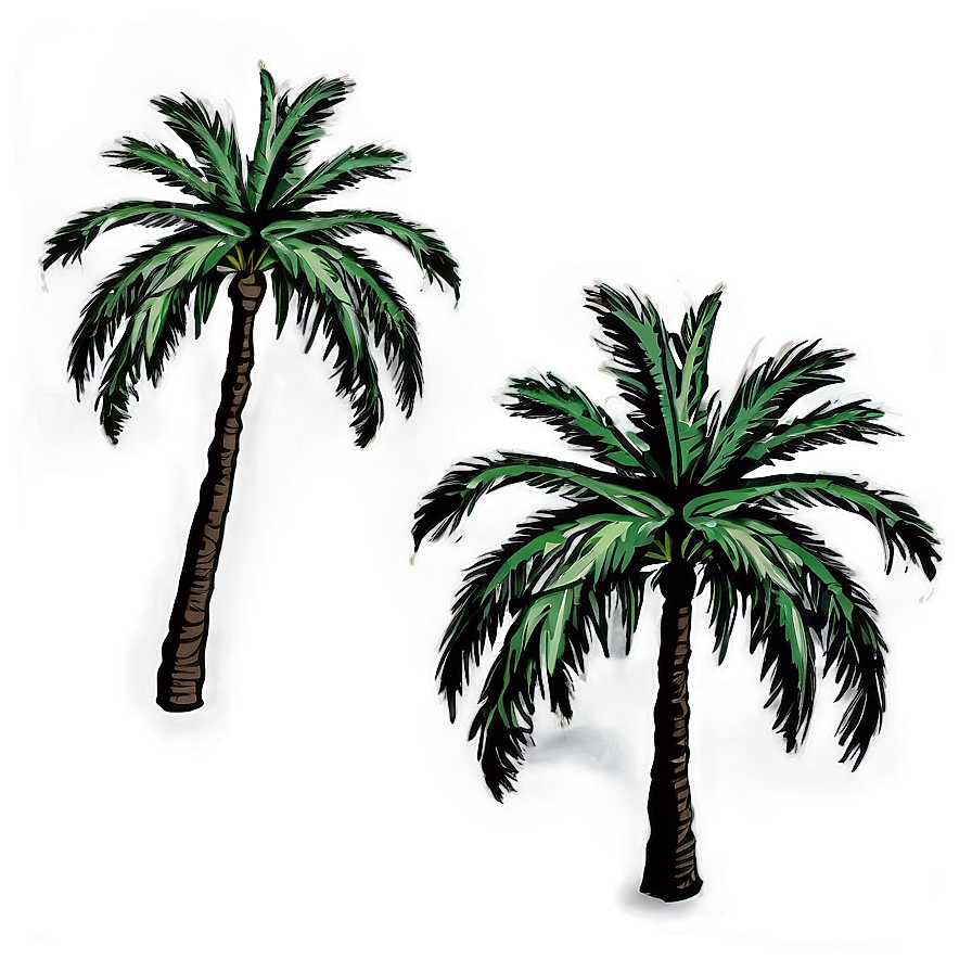 Palm Tree Illustration Png 43