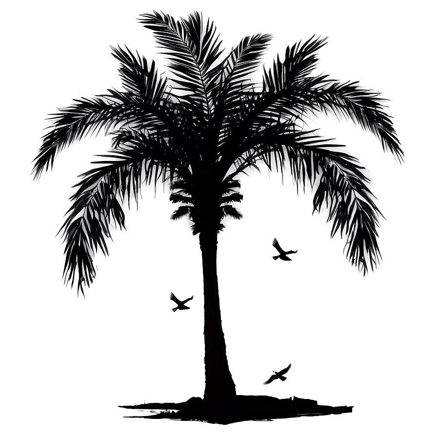 Palm Tree Silhouette With Birds Png Rda